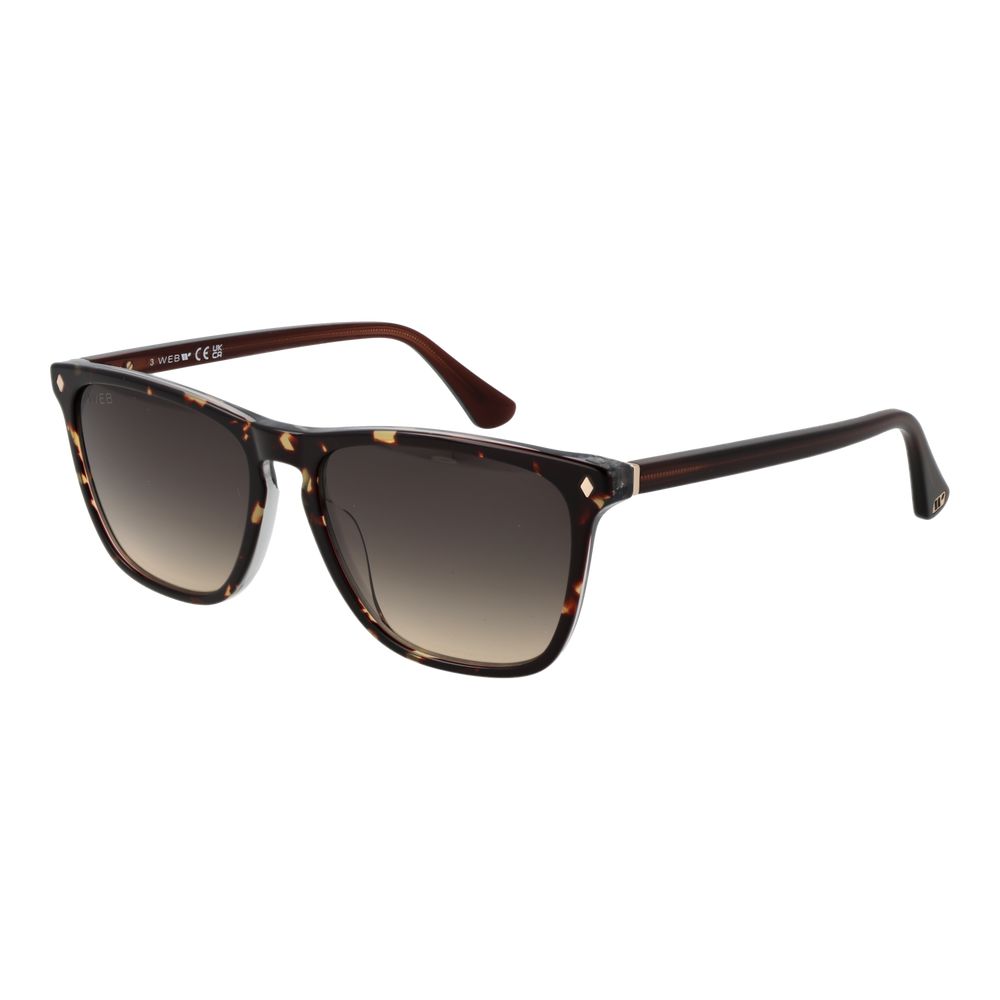 Web Brown Men Sunglasses