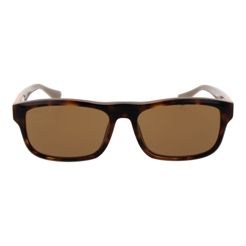 Web Brown Men Sunglasses