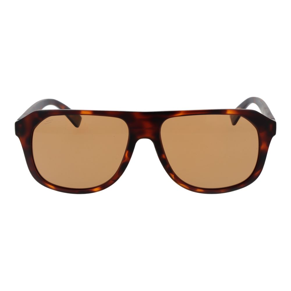Serengeti Brown Men Sunglasses