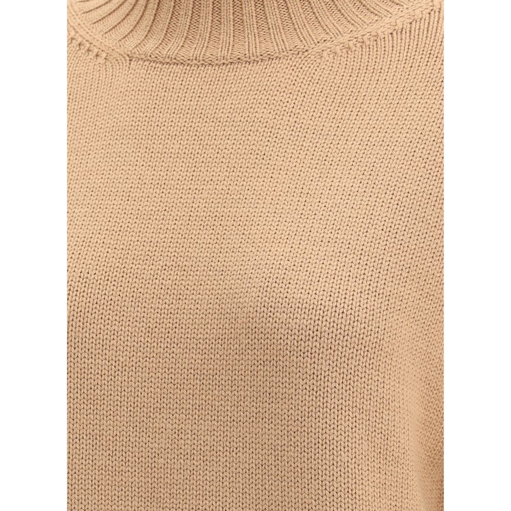 Fabiana Filippi Wool Turtleneck Sweater