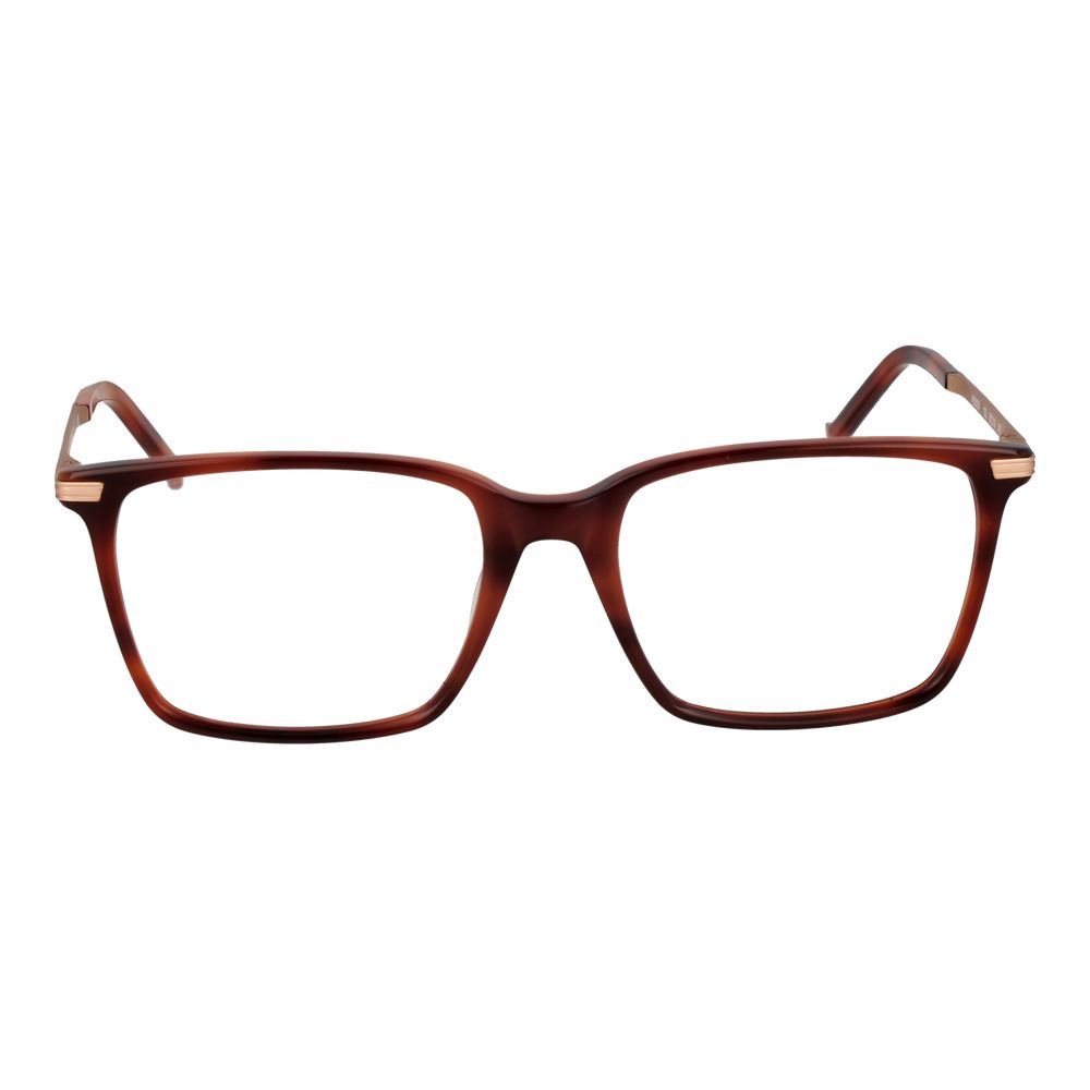 Hackett Brown Men Optical Frames